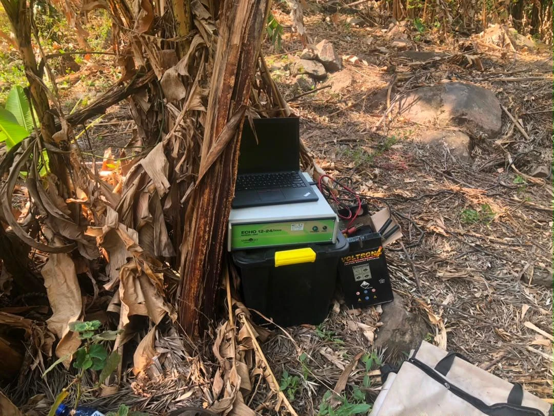 Seismic acquisition equipment set up beside vegetation
