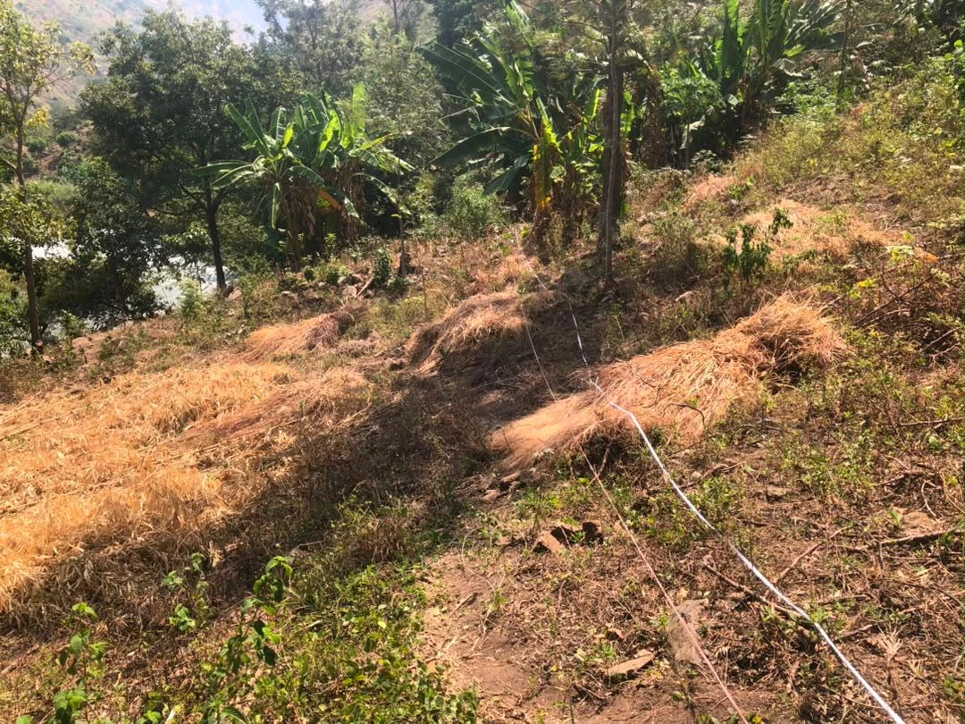 Survey cable and measuring tape laid along a vegetated slope
