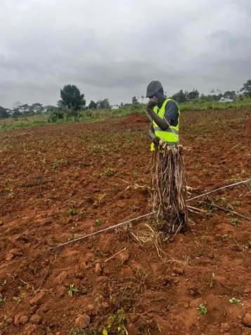 2D Electrical Resistivity Survey for Zirobwe Quarry Site
